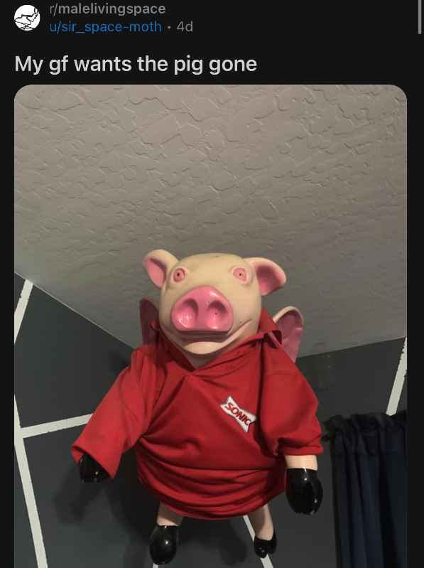 photo caption - rmalelivingspace usir_spacemoth 4d My gf wants the pig gone Sonic