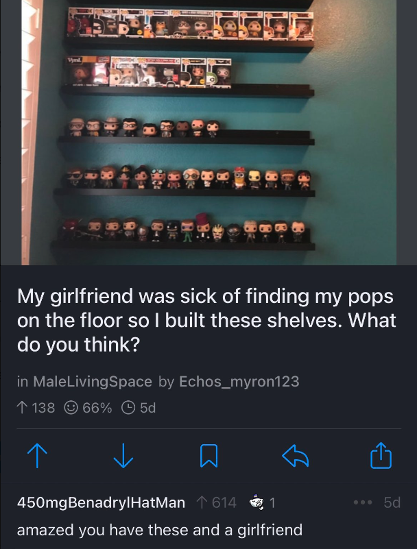 screenshot - My girlfriend was sick of finding my pops on the floor so I built these shelves. What do you think? in MaleLivingSpace by Echos_myron123 138 66% 5d 614 450mg BenadrylHatMan amazed you have these and a girlfriend 5d