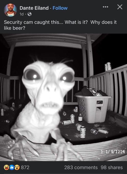 photo caption - Dante Eiland. 1d Security cam caught this... What is it? Why does it beer? 872 1191224 283 98