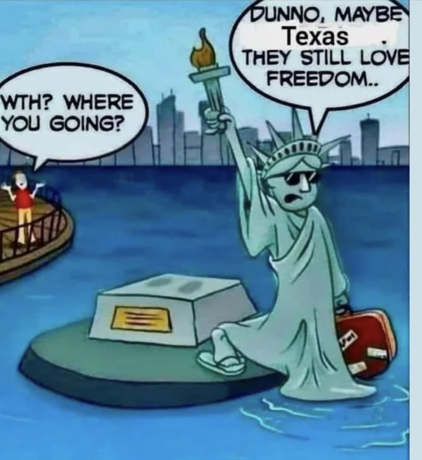 cartoon - Wth? Where You Going? Dunno, Maybe Texas They Still Love Freedom..