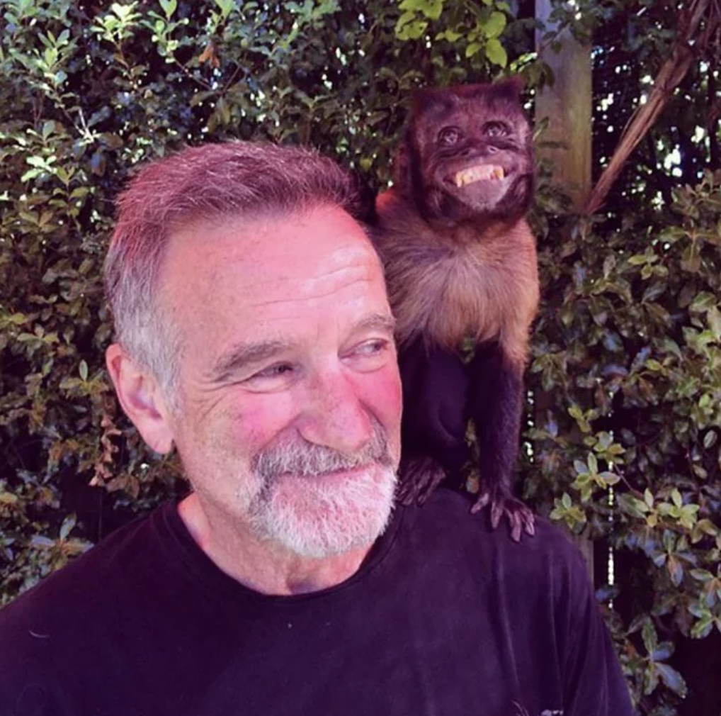 robin williams monkey