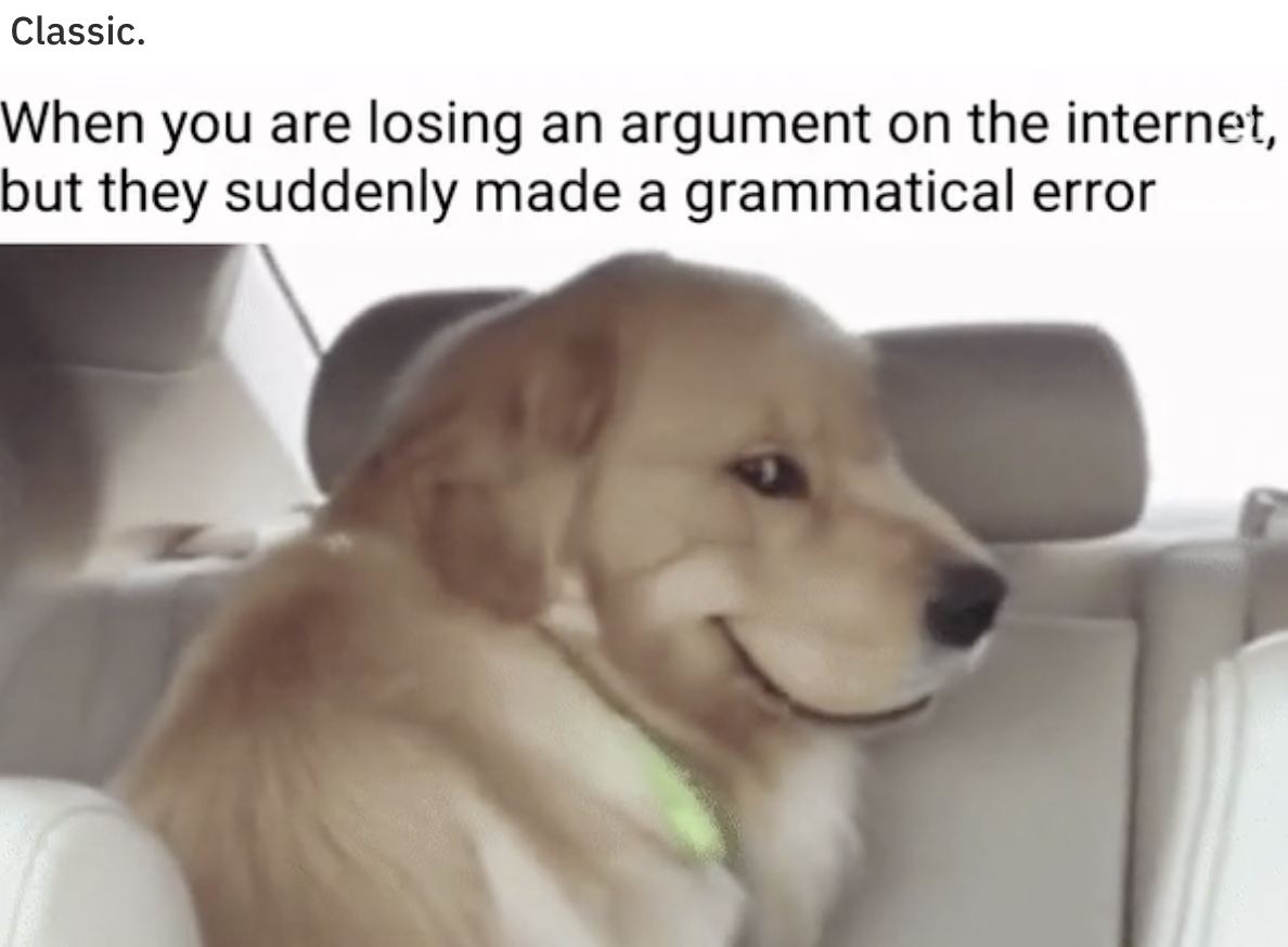 dog - Classic. When you are losing an argument on the internet, but they suddenly made a grammatical error