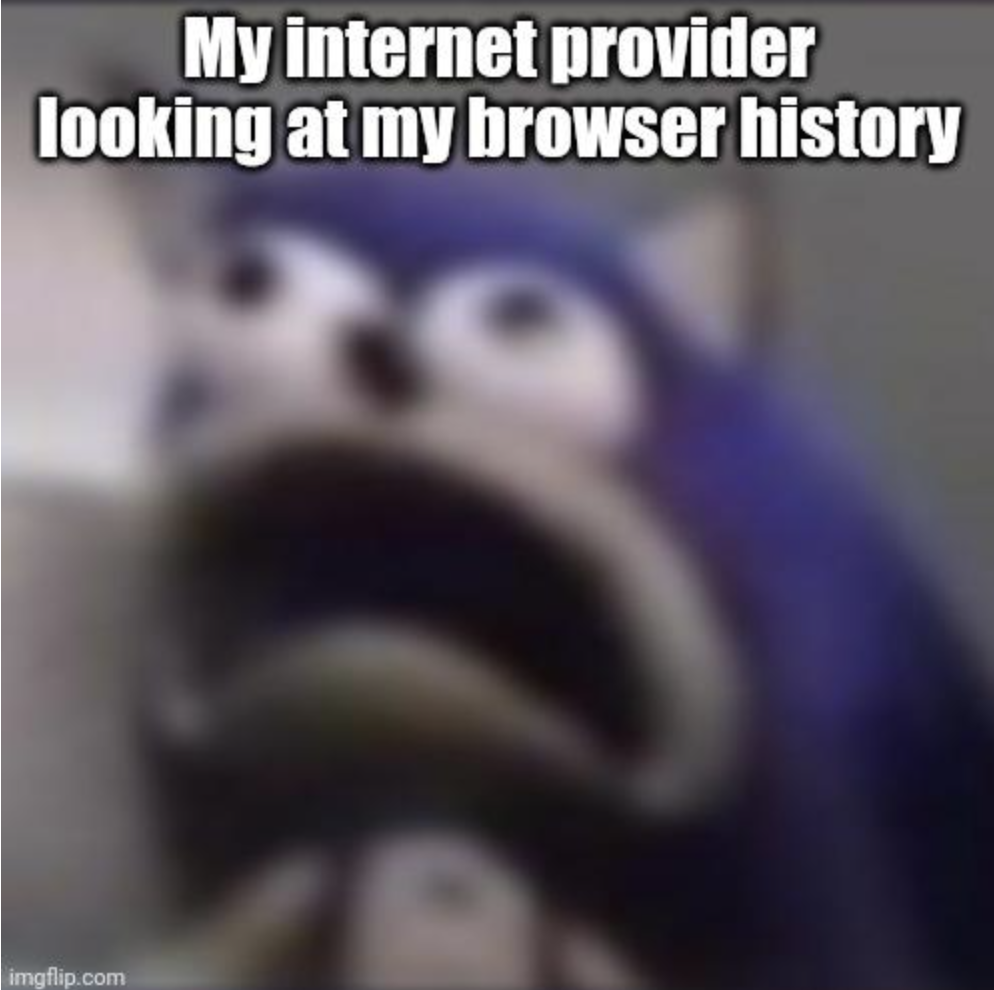 photo caption - My internet provider looking at my browser history imgflip.com
