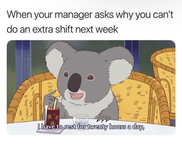 koala - When your manager asks why you can't do an extra shift next week th I have to rest for twenty hours a day,