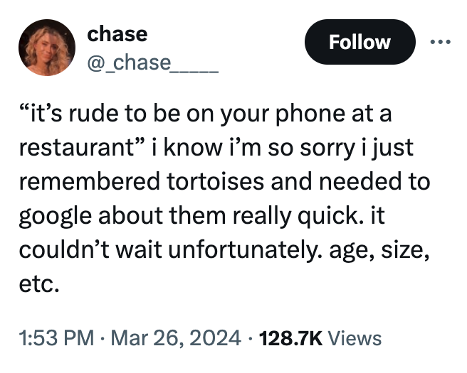 screenshot - chase "it's rude to be on your phone at a restaurant" i know i'm so sorry i just remembered tortoises and needed to google about them really quick. it couldn't wait unfortunately. age, size, etc. Views