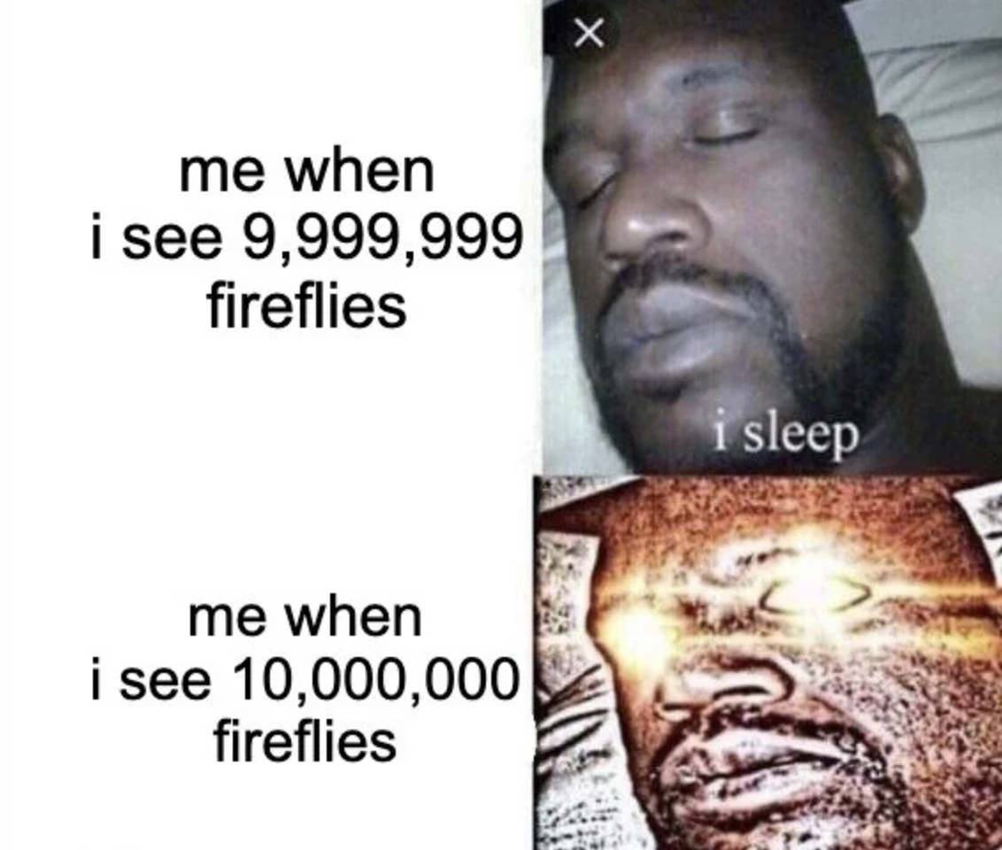 shaq you sleep meme - me when i see 9,999,999 fireflies me when i see 10,000,000 fireflies i sleep