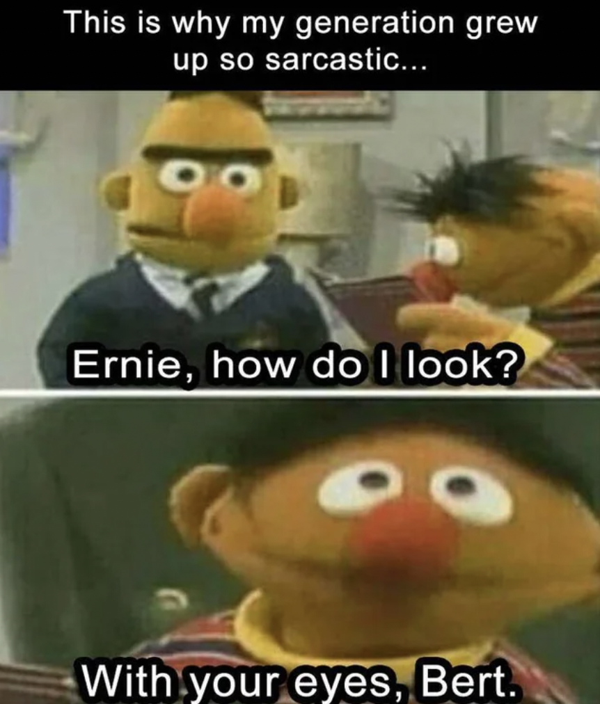 cartoon - This is why my generation grew up so sarcastic... Ernie, how do I look? With your eyes, Bert.