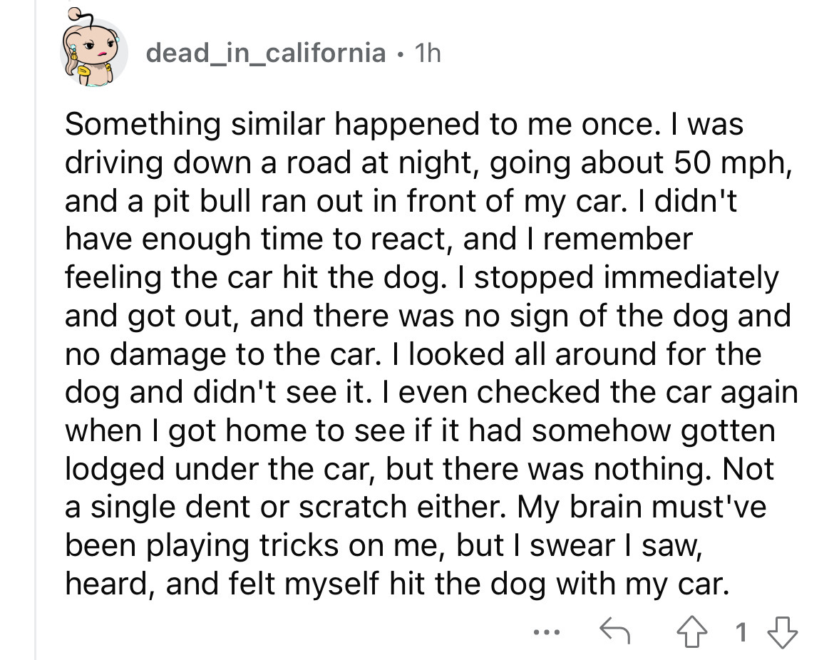 angle - dead_in_california 1h Something similar happened to me once. I was driving down a road at night, going about 50 mph, and a pit bull ran out in front of my car. I didn't have enough time to react, and I remember feeling the car hit the dog. I stopp
