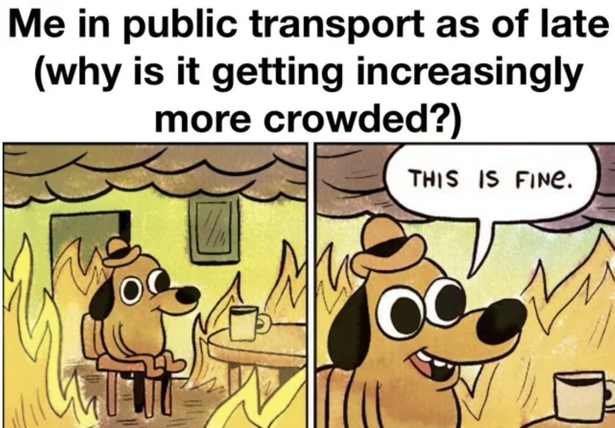 history meme clean - Me in public transport as of late why is it getting increasingly more crowded? This Is Fine.