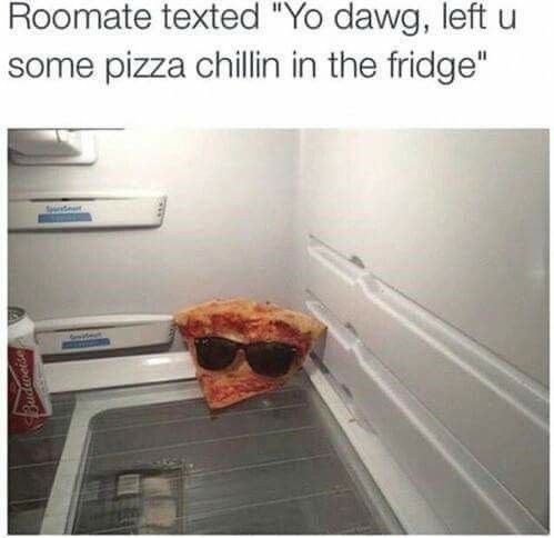 roommates meme - Roomate texted "Yo dawg, left u some pizza chillin in the fridge"