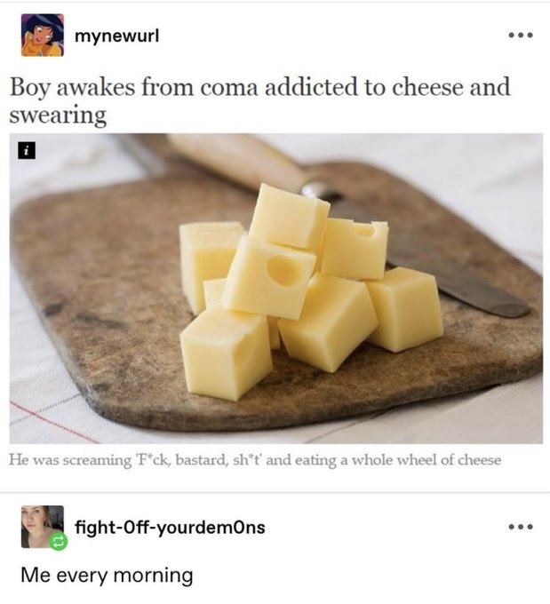 cubed cheese - mynewurl Boy awakes from coma addicted to cheese and swearing B He was screaming 'Fck, bastard, sht' and eating a whole wheel of cheese fightOffyourdemons Me every morning