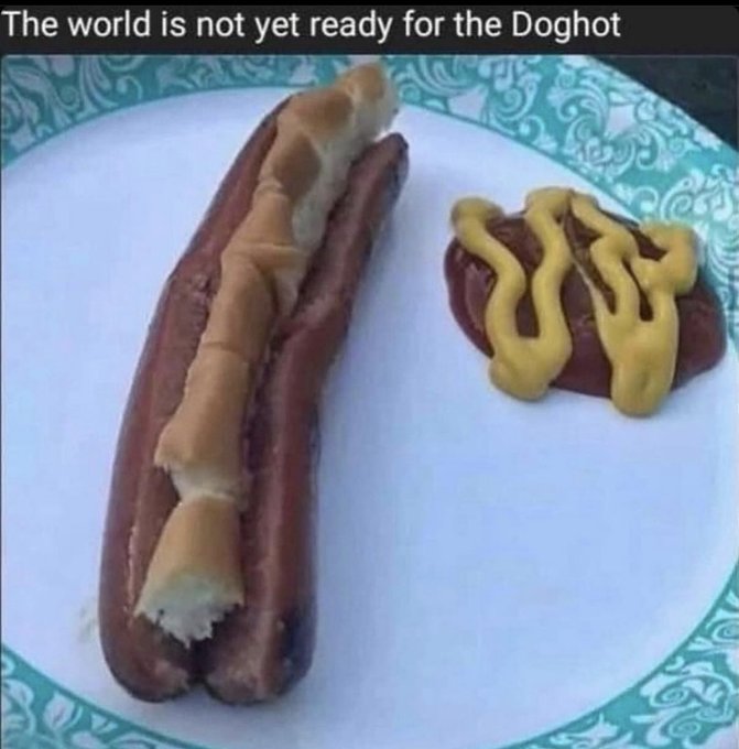 world is not yet ready - The world is not yet ready for the Doghot