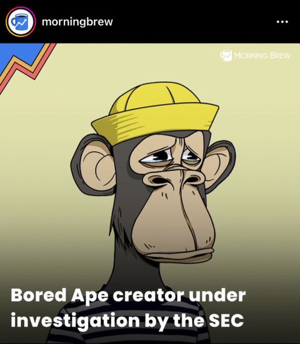 bored ape nft blue - morningbrew Morning Brew Bored Ape creator under investigation by the Sec