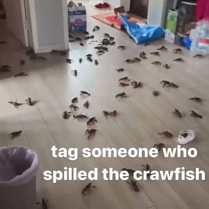 floor - tag someone who spilled the crawfish