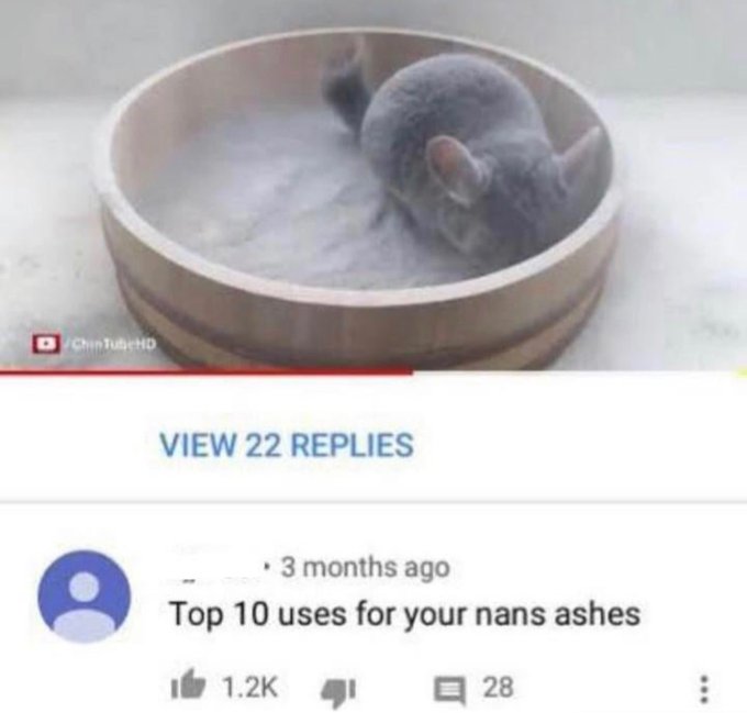 screenshot - ChinTubeHD View 22 Replies 3 months ago Top 10 uses for your nans ashes 28