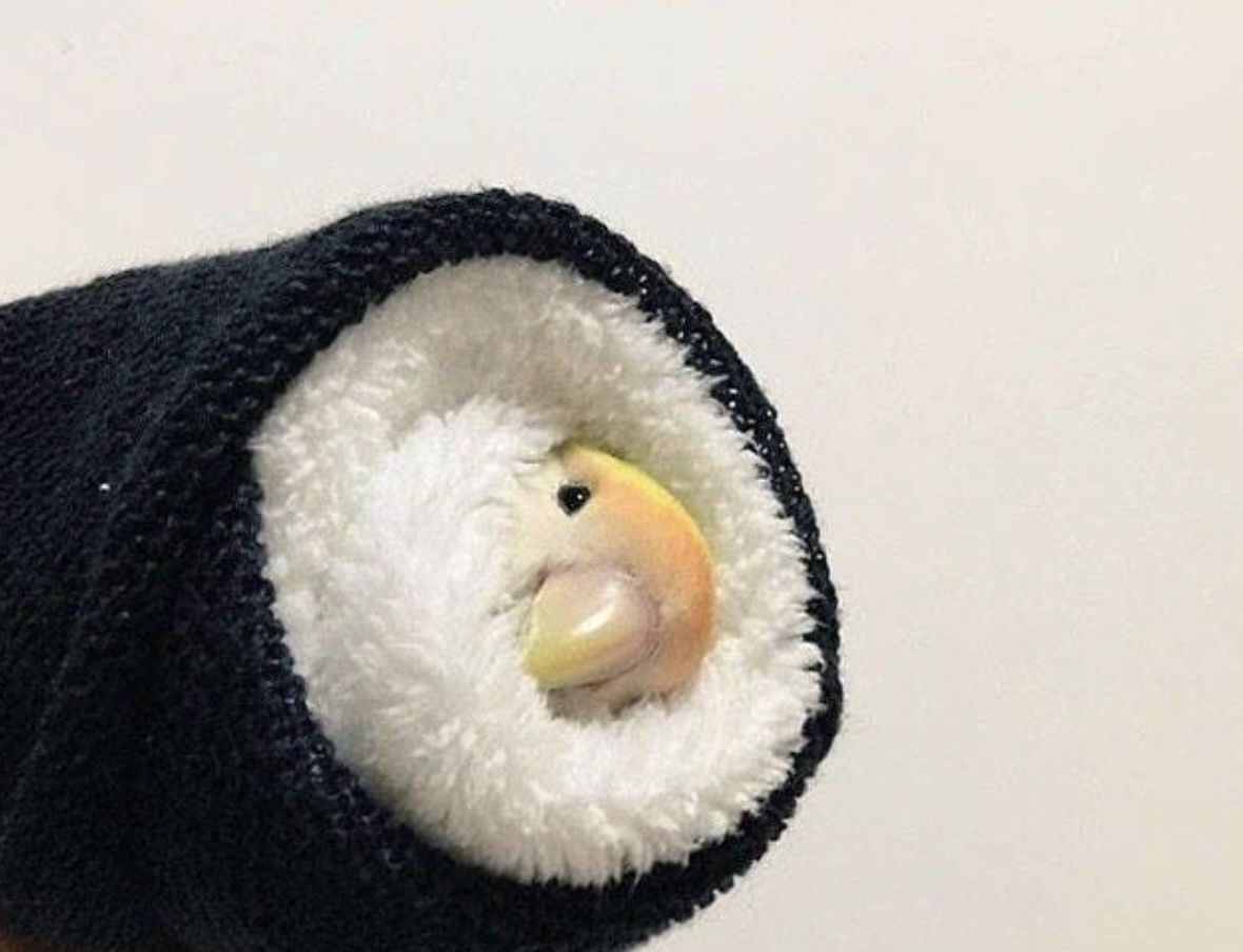 cursed sushi