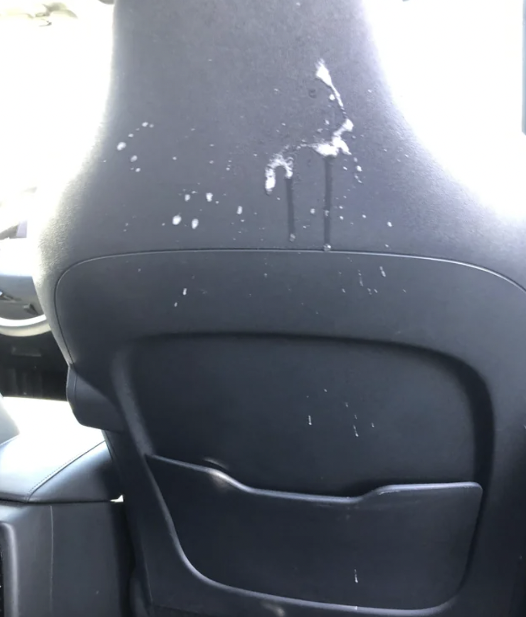 “The last ride of the day added stops last minute, and I said no I would be ending the ride at the first stop so she is SCREAMING at me in the back seat, threatening me, so I pull over and tell her to get out and she SPITS ALL OVER MY SEAT. What kind of trash person does that?!”