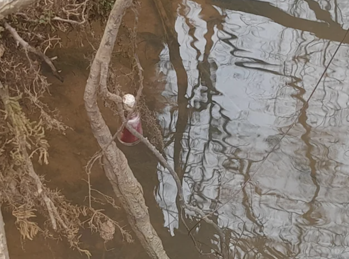 Vial of mysterious fluid hanging by roots over a creek near my home. I need answers.