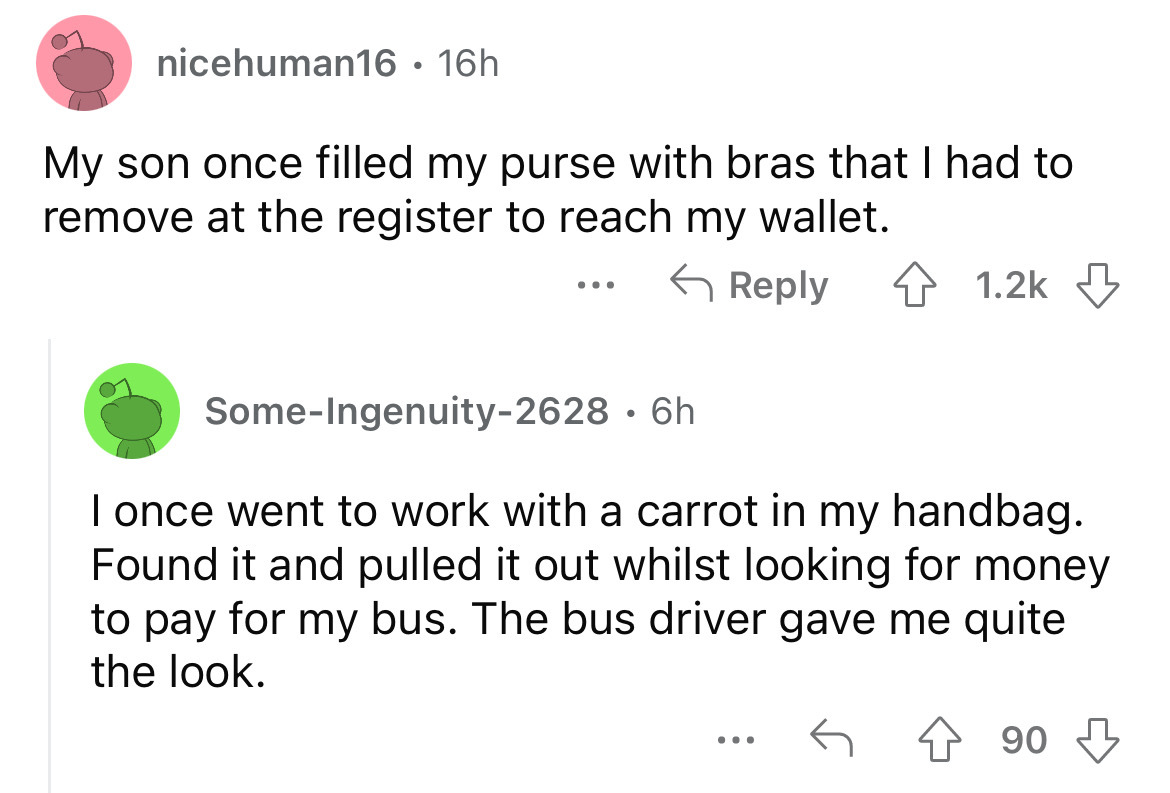 screenshot - nicehuman16 16h My son once filled my purse with bras that I had to remove at the register to reach my wallet. ... SomeIngenuity2628 6h . I once went to work with a carrot in my handbag. Found it and pulled it out whilst looking for money to 