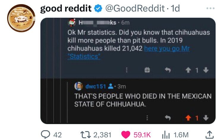 screenshot - good reddit Reddit. 1d ks. 6m Ok Mr statistics. Did you know that chihuahuas kill more people than pit bulls. In 2019 chihuahuas killed 21,042 here you go Mr "Statistics" 1 dwc151.3m That'S People Who Died In The Mexican State Of Chihuahua. 4