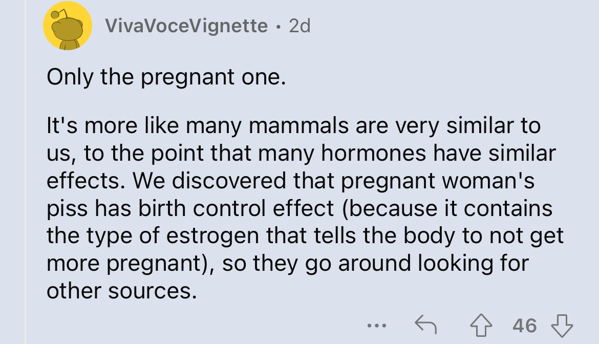 screenshot - VivaVoceVignette 2d Only the pregnant one. It's more many mammals are very similar to us, to the point that many hormones have similar effects. We discovered that pregnant woman's piss has birth control effect because it contains the type of 