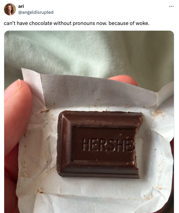 handbag - ari can't have chocolate without pronouns now. because of woke. Hershe