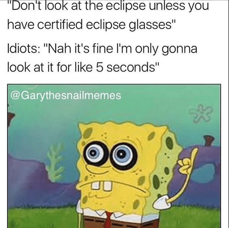 cartoon - "Don't look at the eclipse unless you have certified eclipse glasses" Idiots "Nah it's fine I'm only gonna look at it for 5 seconds"