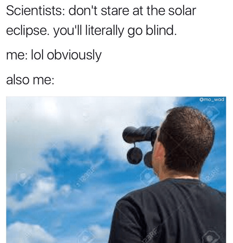 photo caption - Scientists don't stare at the solar eclipse. you'll literally go blind. me lol obviously also me 312398 23RF 238F