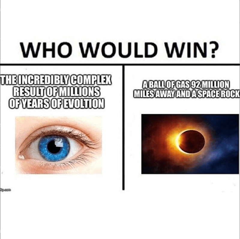 solar eclipse memes - Who Would Win? The Incredibly Complex Result Of Millions Of Years Of Evoltion A Ball Of Gas 92 Million Miles Away And Aspace Rock kip.com