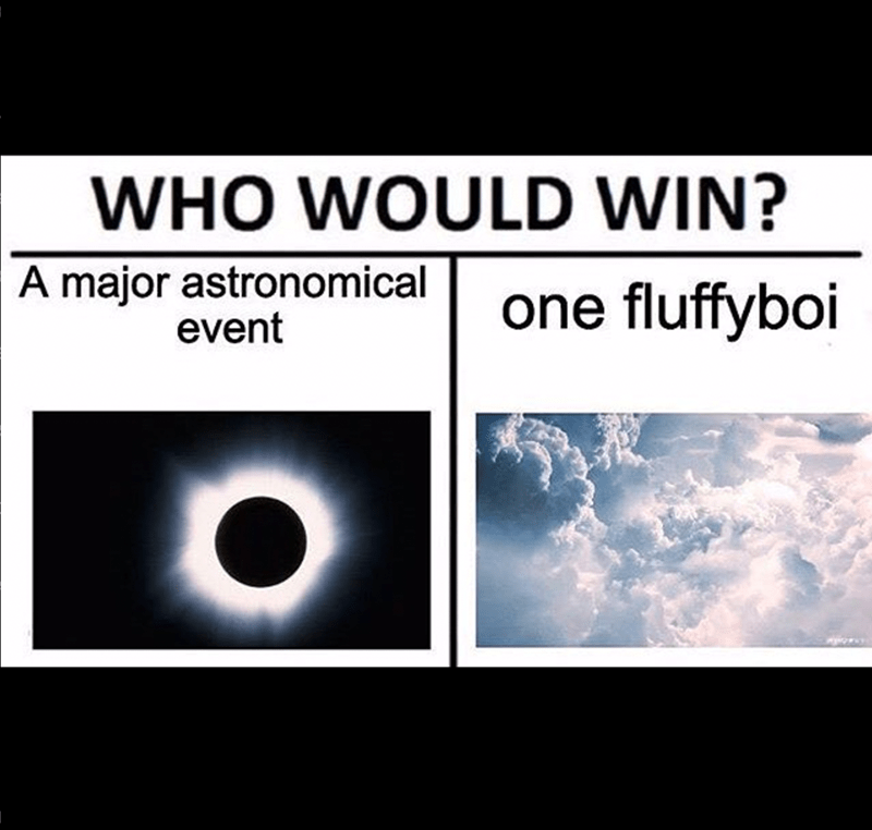 albania bunkers meme - Who Would Win? A major astronomical event one fluffyboi