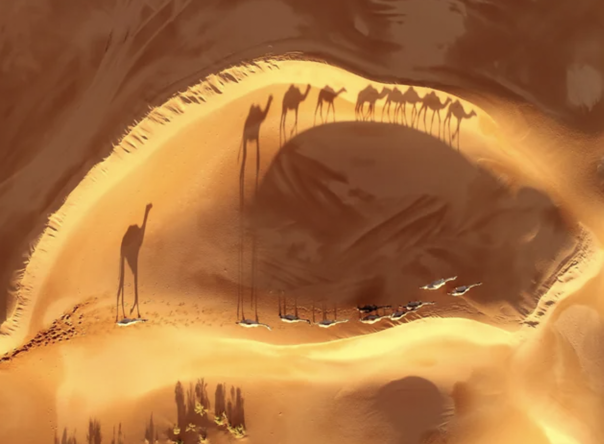 camel crossing the desert