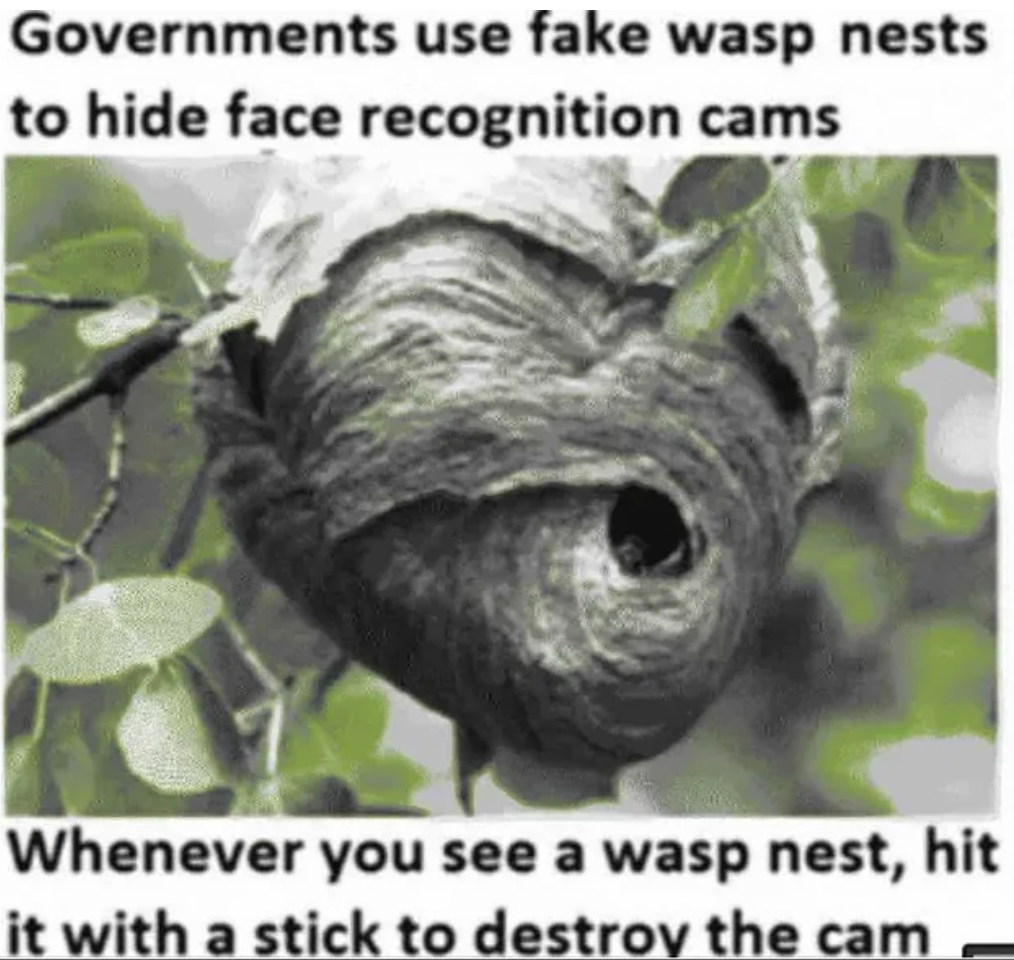 photo caption - Governments use fake wasp nests to hide face recognition cams Whenever you see a wasp nest, hit it with a stick to destroy the cam