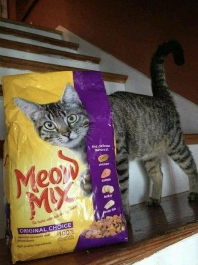 cat behind food bag - Meon Mix Original Choice 1100% the del folL