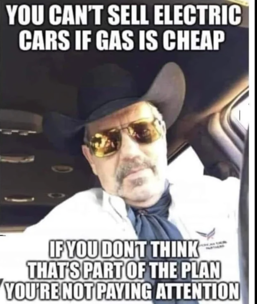 photo caption - You Can'T Sell Electric Cars If Gas Is Cheap If You Don'T Think That'S Part Of The Plan You'Re Not Paying Attention