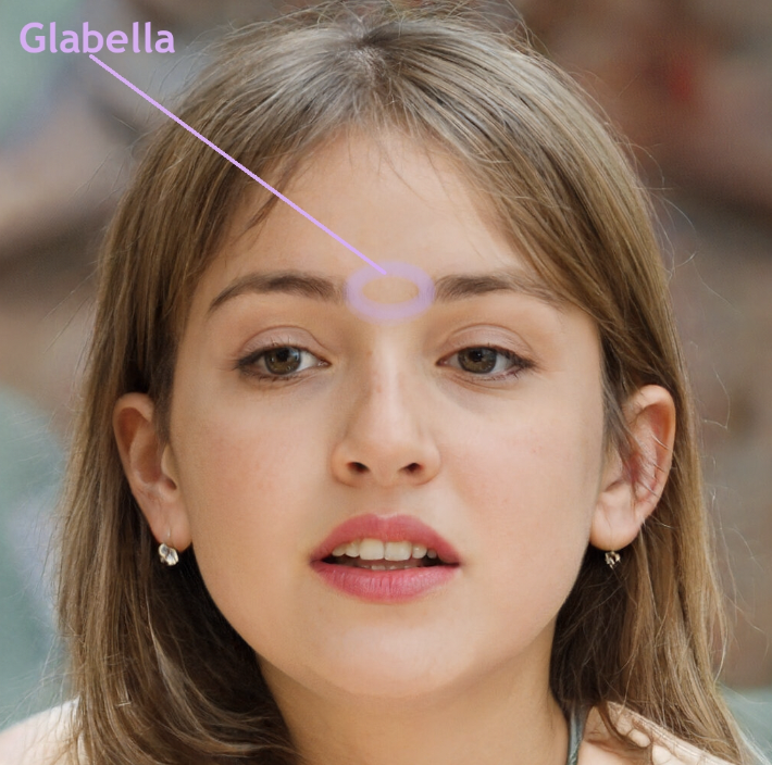 glabella meaning - Glabella