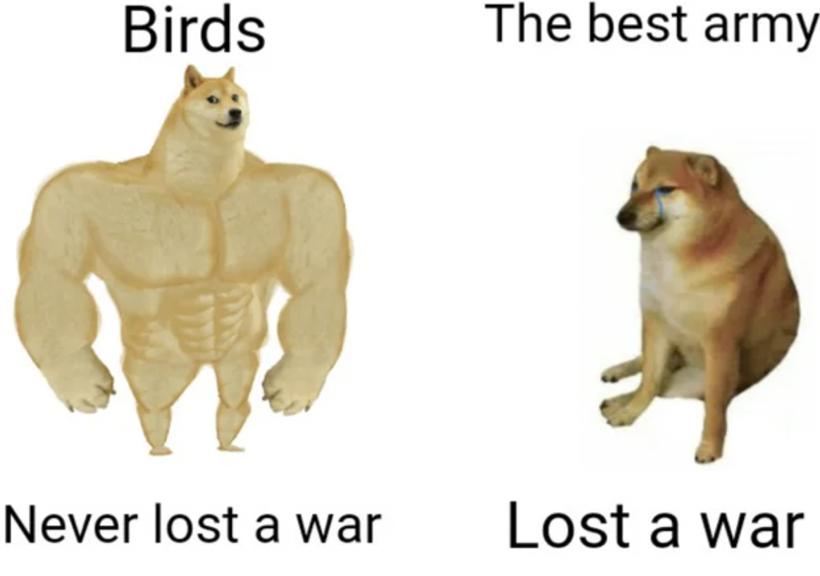 shiba inu - Birds The best army Never lost a war Lost a war