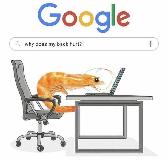 posture prawn meme - Google Qwhy does my back hurt?