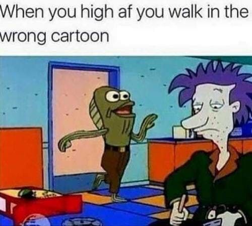 29 Stoner Memes for People Who Are High Right Now 