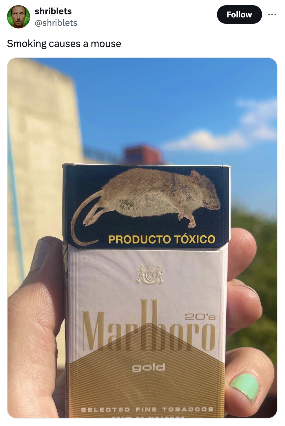 dugong - shriblets Smoking causes a mouse Producto Txico 20's Marlboro gold Selected Fine Tobadoor