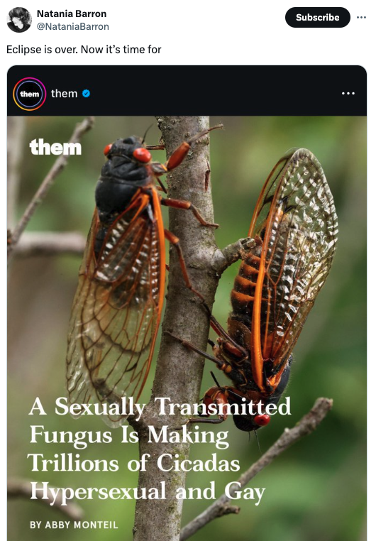 damselfly - Natania Barron Eclipse is over. Now it's time for them them them A Sexually Transmitted Fungus Is Making Trillions of Cicadas Hypersexual and Gay By Abby Monteil Subscribe
