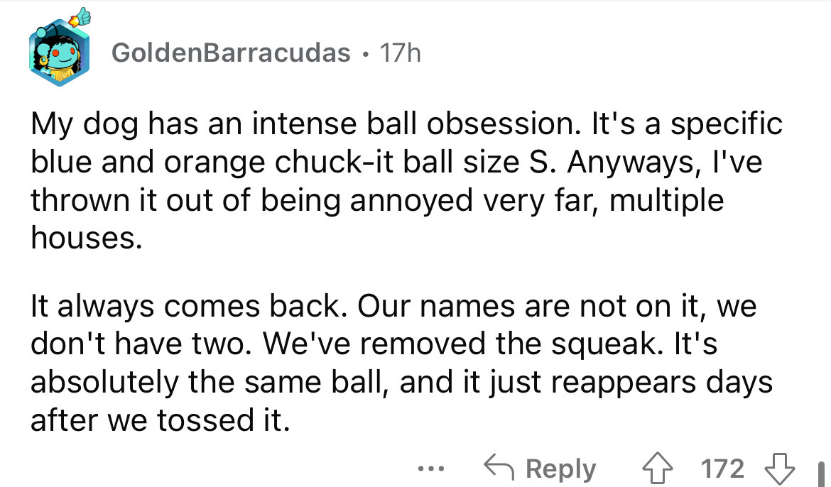 screenshot - GoldenBarracudas 17h My dog has an intense ball obsession. It's a specific blue and orange chuckit ball size S. Anyways, I've thrown it out of being annoyed very far, multiple houses. It always comes back. Our names are not on it, we don't ha