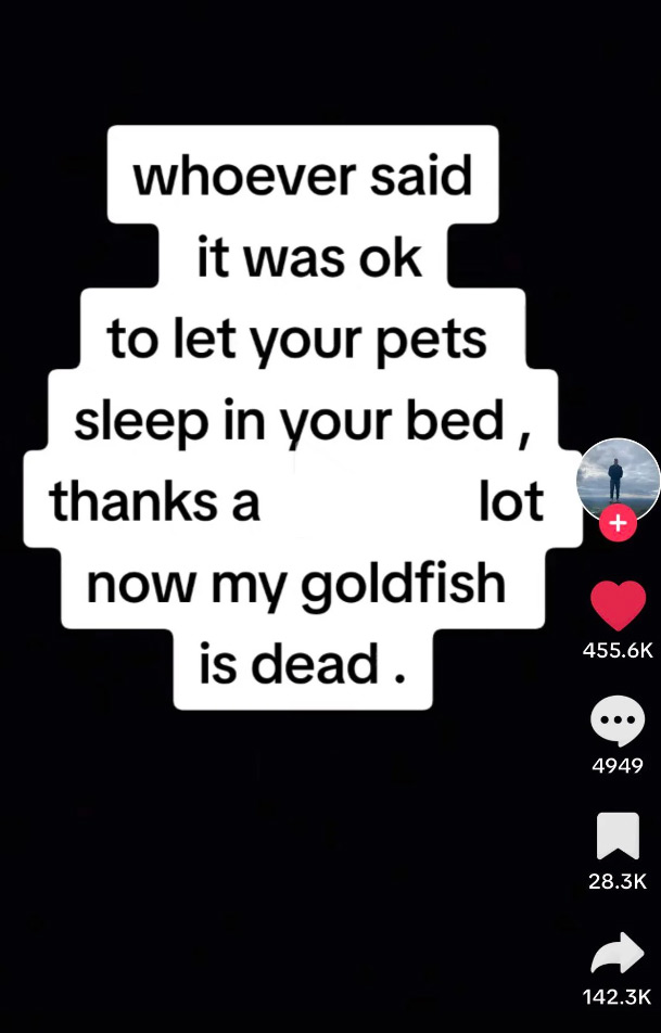 20 Crazy Screenshots That of Course Came From TikTok 
