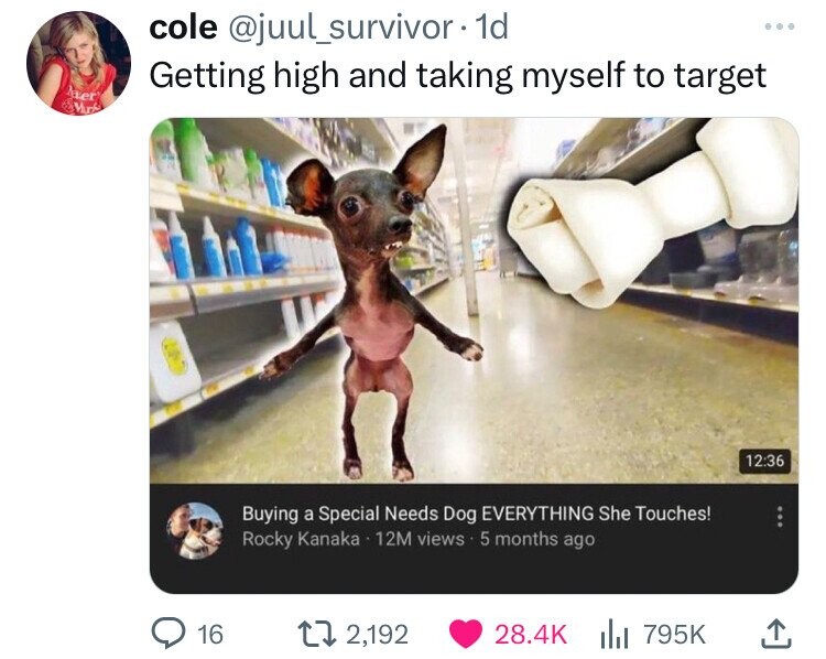 chihuahua - cole . 1d Getting high and taking myself to target Buying a Special Needs Dog Everything She Touches! Rocky Kanaka 12M views 5 months ago 16 2,192