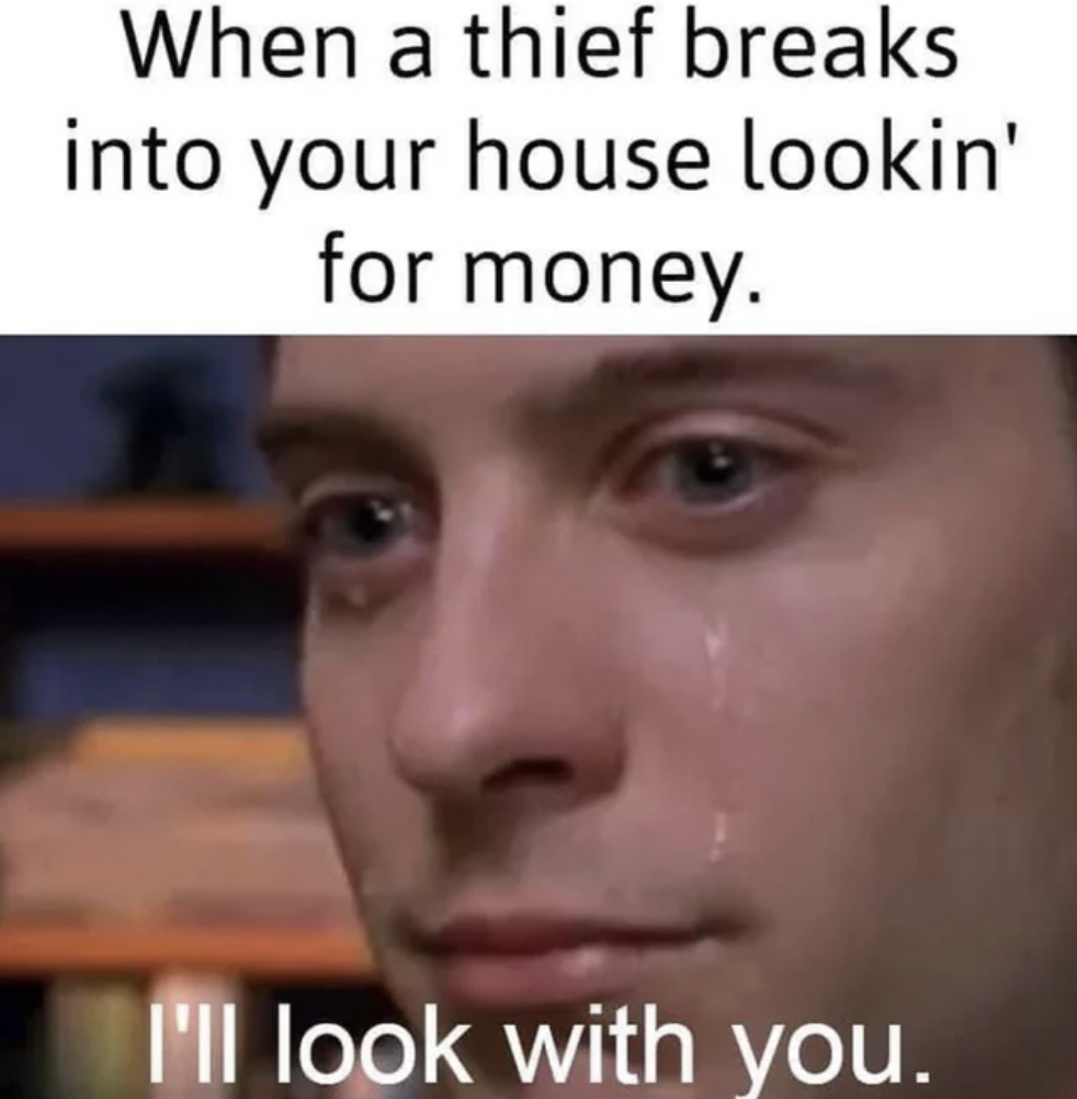 ll look with you meme - When a thief breaks into your house lookin' for money. I'll look with you.