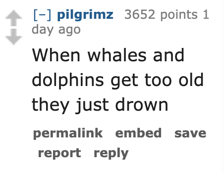 number - pilgrimz 3652 points 1 day ago When whales and dolphins get too old they just drown permalink embed save report