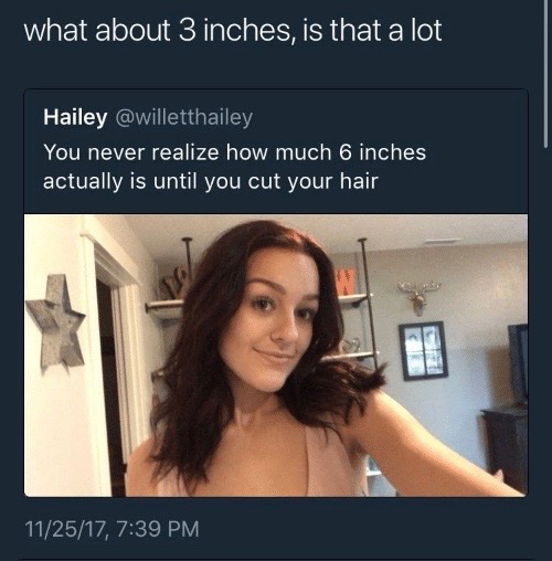 girl - what about 3 inches, is that a lot Hailey You never realize how much 6 inches actually is until you cut your hair 112517,