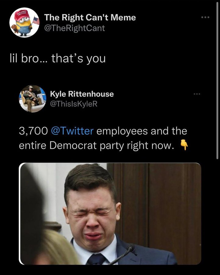 screenshot - The Right Can't Meme lil bro... that's you Kyle Rittenhouse 3,700 employees and the entire Democrat party right now.
