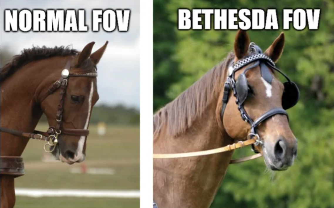 horse eye blinders - Normal Fov Bethesda Fov