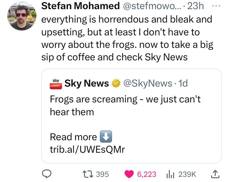 screenshot - Stefan Mohamed .... 23h everything is horrendous and bleak and upsetting, but at least I don't have to worry about the frogs. now to take a big sip of coffee and check Sky News news sky Sky News . 1d Frogs are screaming we just can't hear the