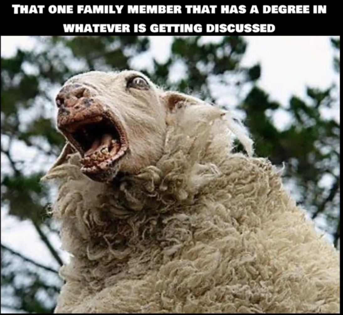 weird sheep - That One Family Member That Has A Degree In Whatever Is Getting Discussed